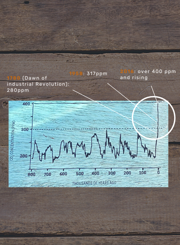 Graph showing a sharp increase in CO2 emmisions over time