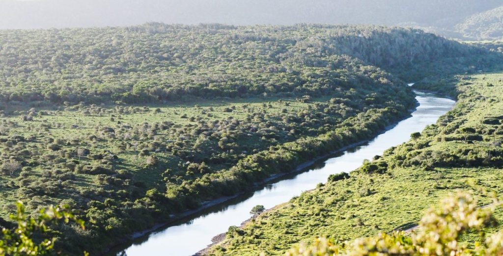Kariega Game Reserve