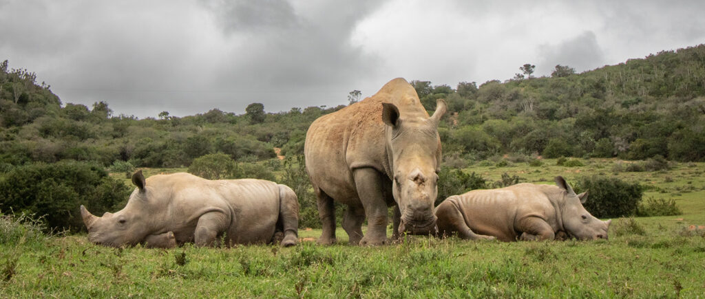 Thandi and Family