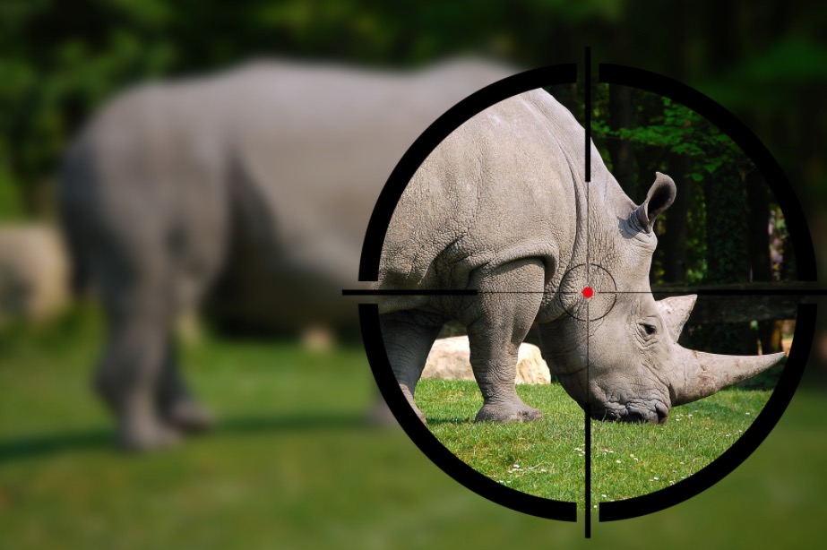 Rhino image with sniper graphic overlay