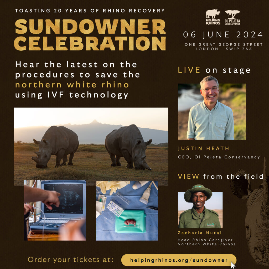 Sundowner Celebration IVF Promo
