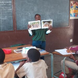 Bush Babies Lesson