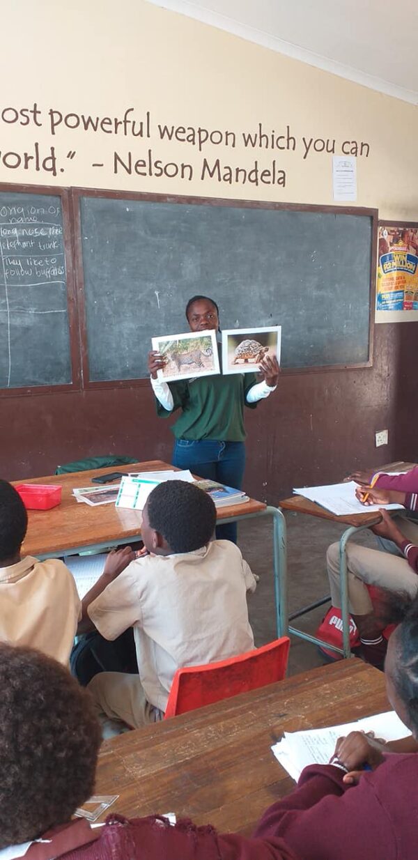 Bush Babies Lesson